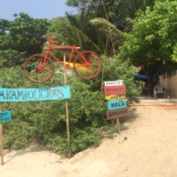 Arambol beach shacks